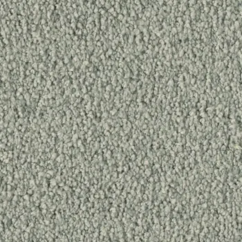 Preview: Vorwerk Violetta 54A8 – Draufsicht Teppichboden Farbe 54A8 ohne Badge